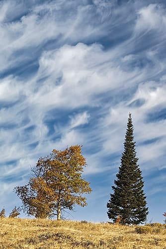 Two trees on ridge and cloud formation-Grand Teton National Park-Wyoming Art Print